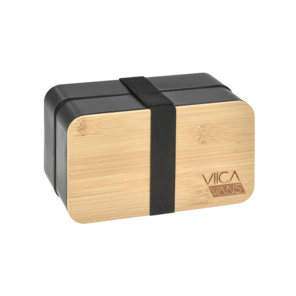 VIICA Van